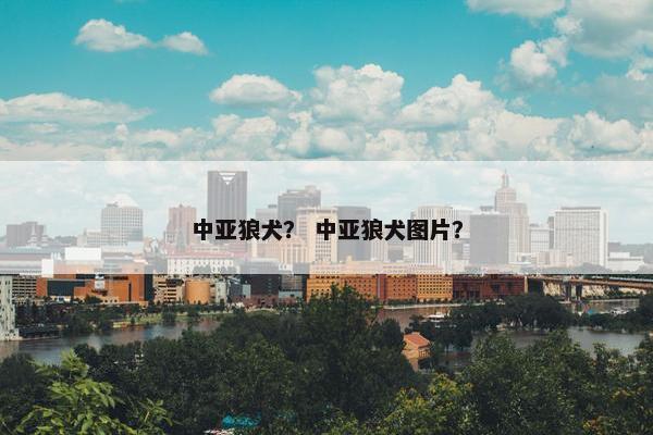 中亚狼犬？ 中亚狼犬图片？