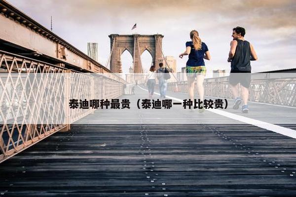 泰迪哪种最贵（泰迪哪一种比较贵）
