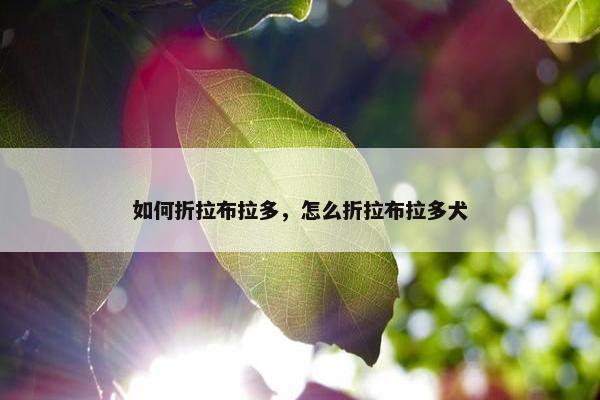 如何折拉布拉多，怎么折拉布拉多犬
