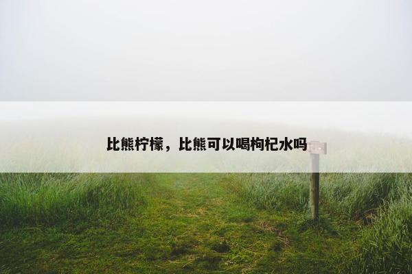 比熊柠檬，比熊可以喝枸杞水吗