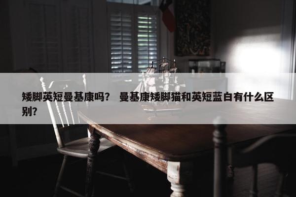矮脚英短曼基康吗？ 曼基康矮脚猫和英短蓝白有什么区别？