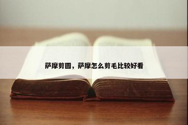 萨摩剪圆，萨摩怎么剪毛比较好看