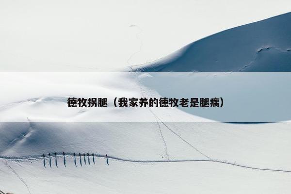 德牧拐腿（我家养的德牧老是腿瘸）