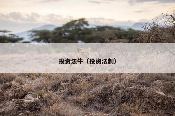 投资法牛（投资法制）