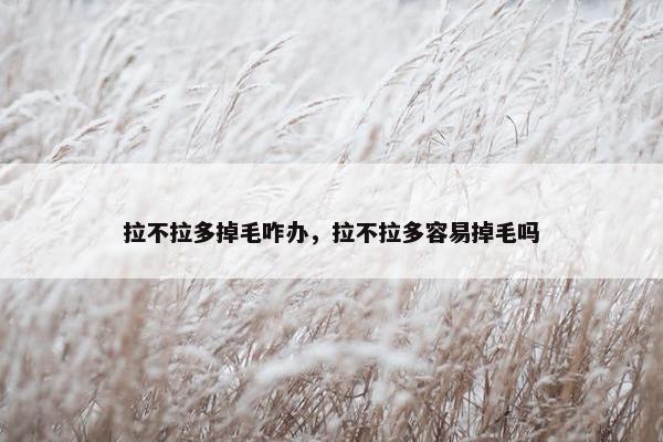 拉不拉多掉毛咋办，拉不拉多容易掉毛吗
