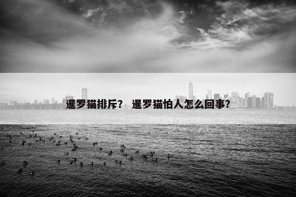 暹罗猫排斥？ 暹罗猫怕人怎么回事？