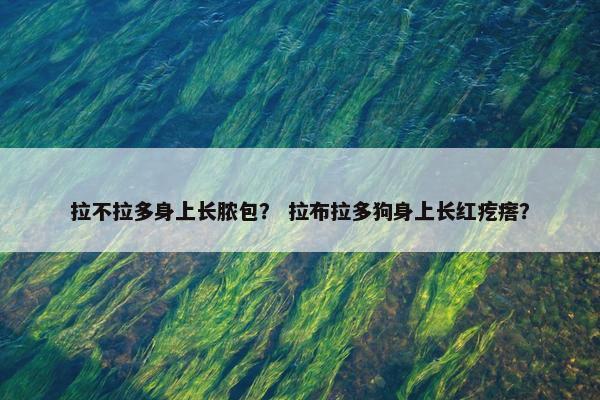 拉不拉多身上长脓包？ 拉布拉多狗身上长红疙瘩？