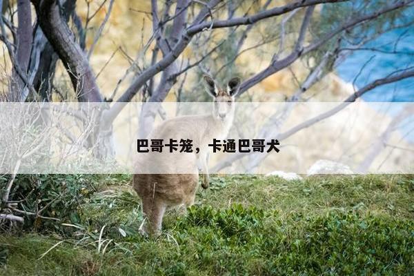 巴哥卡笼，卡通巴哥犬