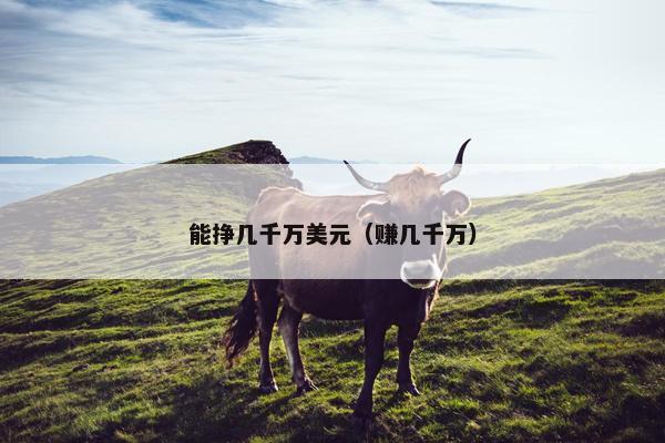 能挣几千万美元（赚几千万）