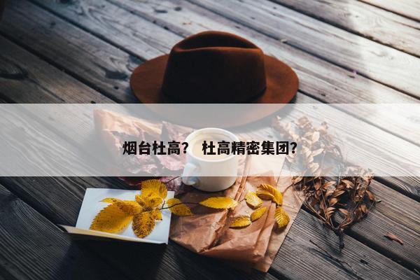 烟台杜高？ 杜高精密集团？