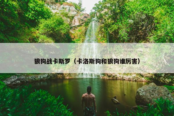 狼狗战卡斯罗（卡洛斯狗和狼狗谁厉害）