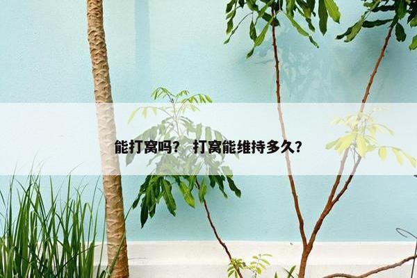 能打窝吗？ 打窝能维持多久？