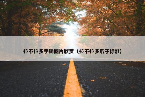 拉不拉多手镯图片欣赏（拉不拉多爪子标准）