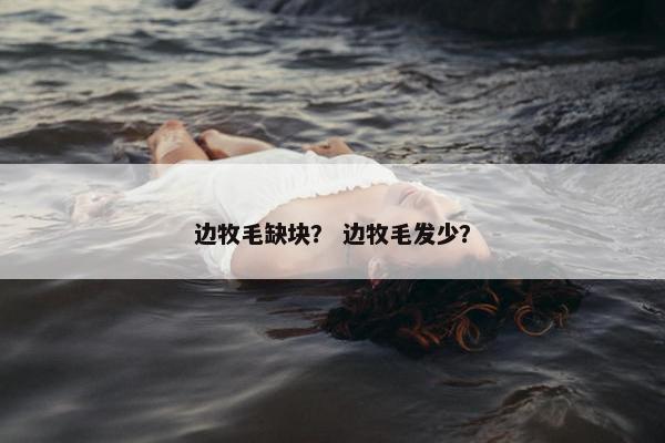 边牧毛缺块？ 边牧毛发少？