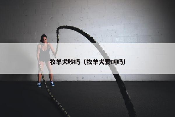 牧羊犬吵吗（牧羊犬爱叫吗）