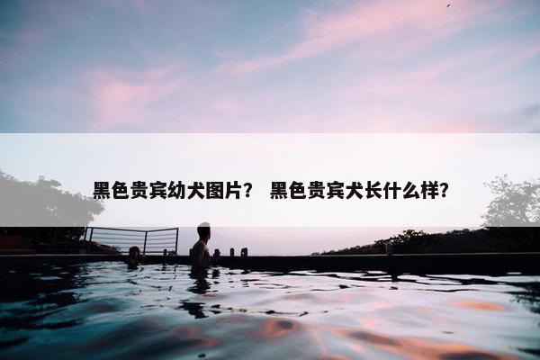 黑色贵宾幼犬图片？ 黑色贵宾犬长什么样？