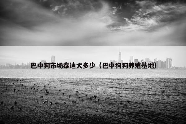 巴中狗市场泰迪犬多少（巴中狗狗养殖基地）