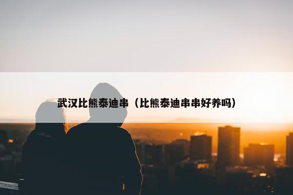武汉比熊泰迪串（比熊泰迪串串好养吗）
