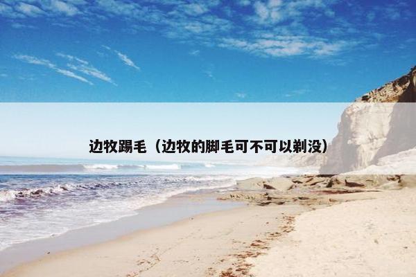 边牧踢毛（边牧的脚毛可不可以剃没）