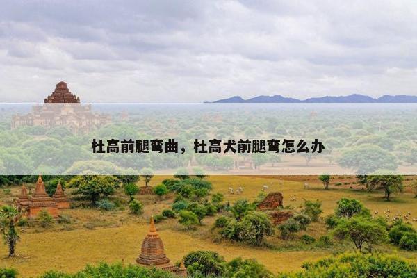 杜高前腿弯曲，杜高犬前腿弯怎么办