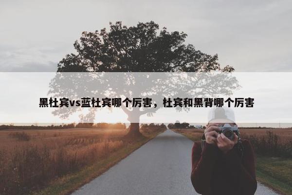黑杜宾vs蓝杜宾哪个厉害，杜宾和黑背哪个厉害