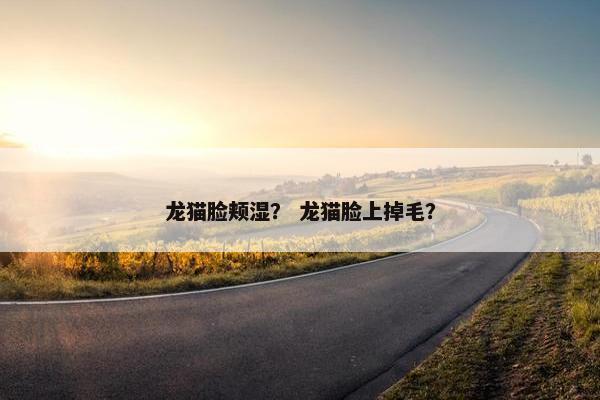 龙猫脸颊湿？ 龙猫脸上掉毛？