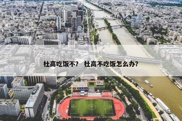 杜高吃饭不？ 杜高不吃饭怎么办？