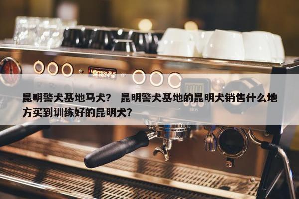 昆明警犬基地马犬？ 昆明警犬基地的昆明犬销售什么地方买到训练好的昆明犬？