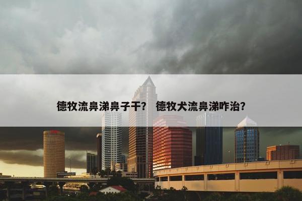 德牧流鼻涕鼻子干？ 德牧犬流鼻涕咋治？