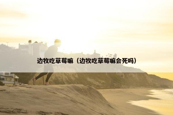 边牧吃草莓嘛（边牧吃草莓嘛会死吗）