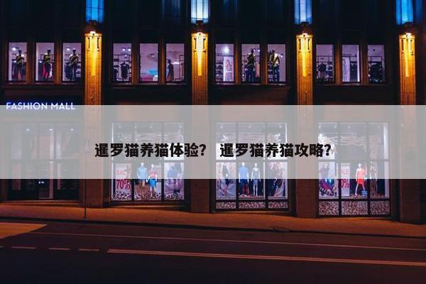 暹罗猫养猫体验？ 暹罗猫养猫攻略？