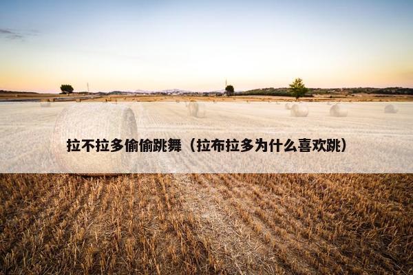 拉不拉多偷偷跳舞（拉布拉多为什么喜欢跳）