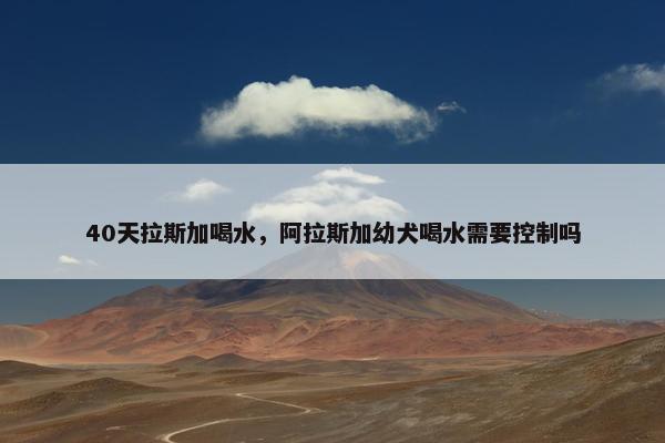40天拉斯加喝水，阿拉斯加幼犬喝水需要控制吗
