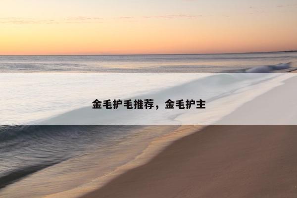 金毛护毛推荐，金毛护主