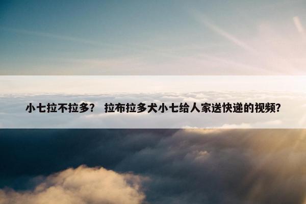 小七拉不拉多？ 拉布拉多犬小七给人家送快递的视频？