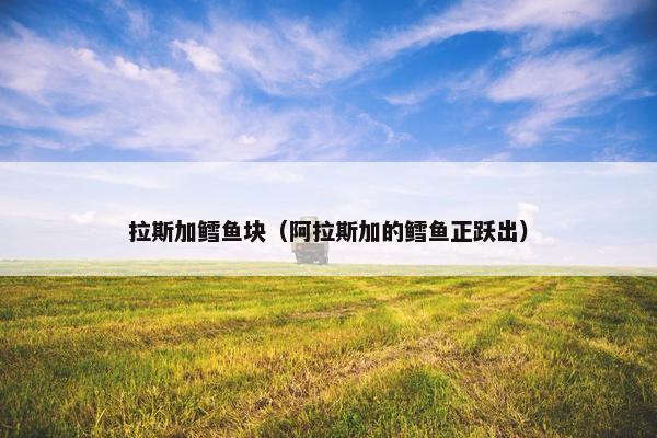 拉斯加鳕鱼块（阿拉斯加的鳕鱼正跃出）