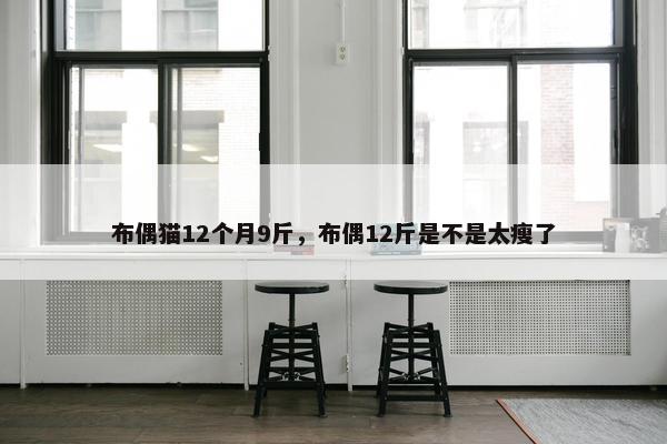 布偶猫12个月9斤，布偶12斤是不是太瘦了