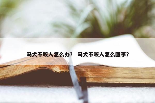 马犬不咬人怎么办？ 马犬不咬人怎么回事？