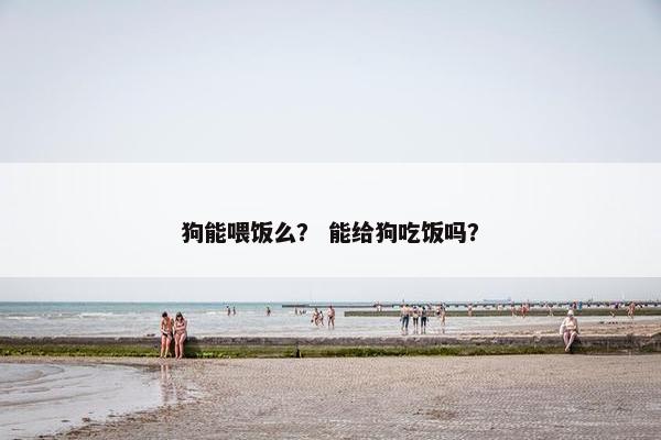 狗能喂饭么？ 能给狗吃饭吗？