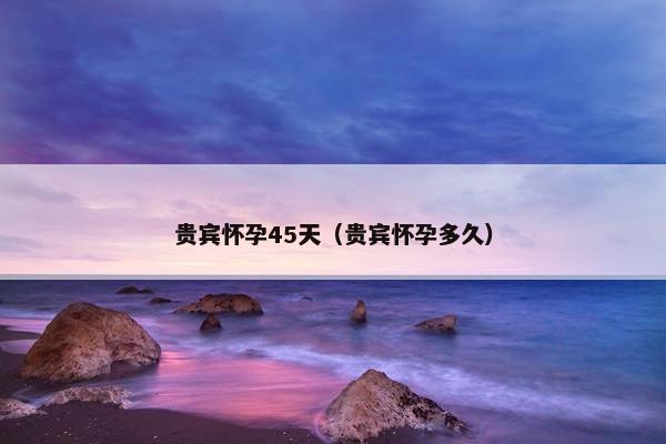 贵宾怀孕45天（贵宾怀孕多久）
