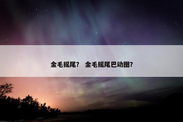 金毛摇尾？ 金毛摇尾巴动图？