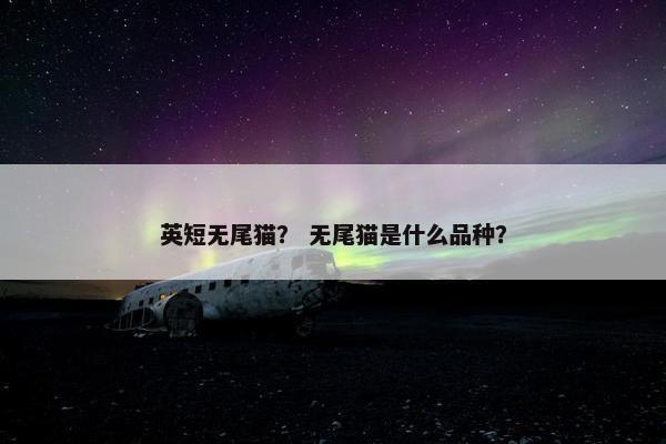 英短无尾猫？ 无尾猫是什么品种？