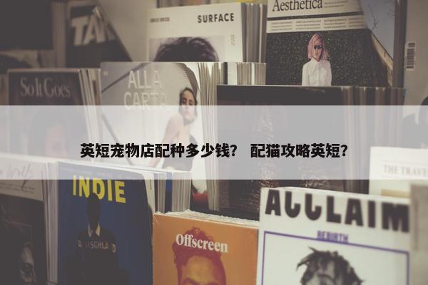 英短宠物店配种多少钱？ 配猫攻略英短？