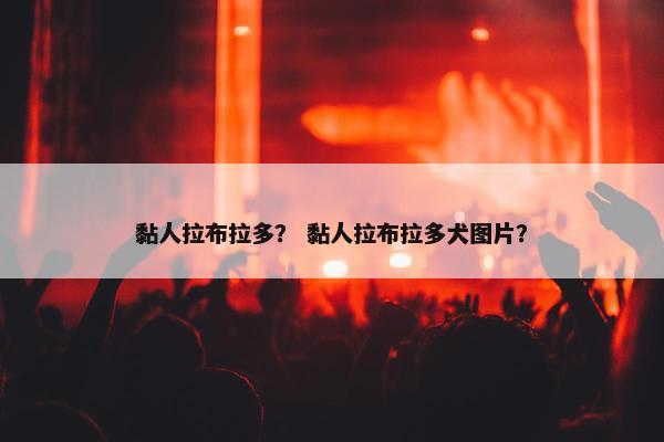 黏人拉布拉多？ 黏人拉布拉多犬图片？