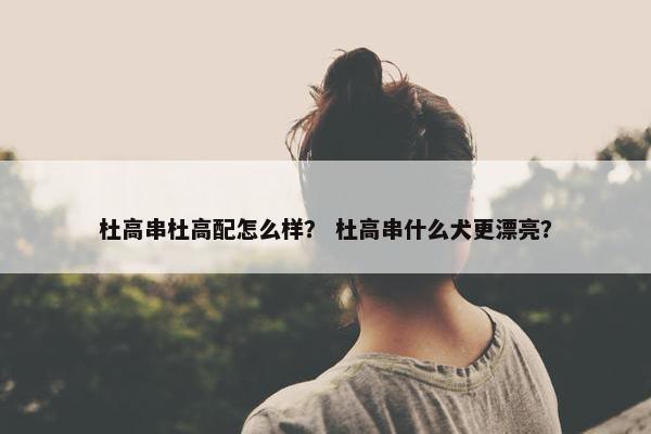 杜高串杜高配怎么样？ 杜高串什么犬更漂亮？