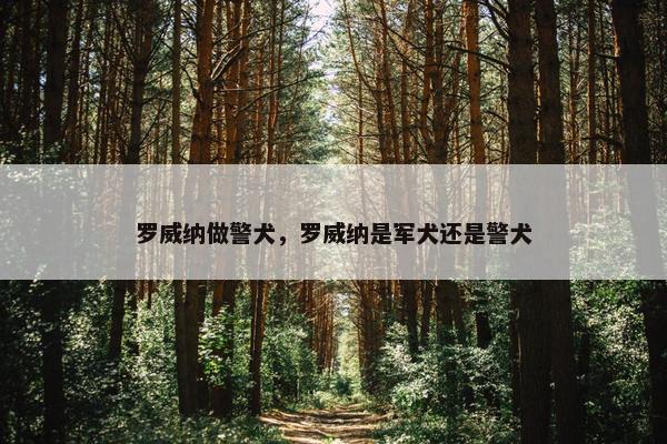 罗威纳做警犬，罗威纳是军犬还是警犬