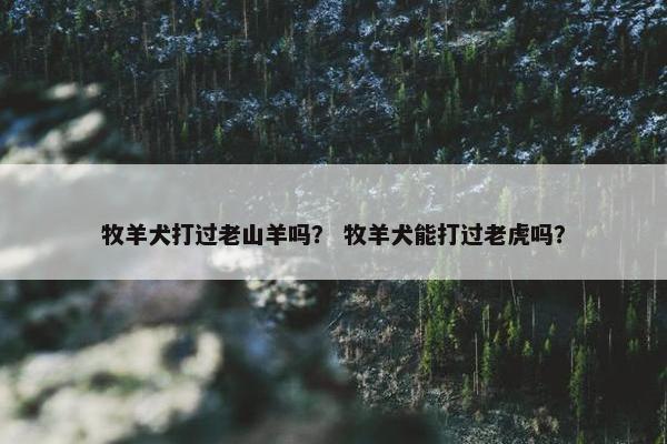 牧羊犬打过老山羊吗？ 牧羊犬能打过老虎吗？