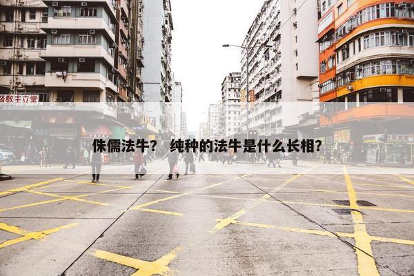侏儒法牛？ 纯种的法牛是什么长相？