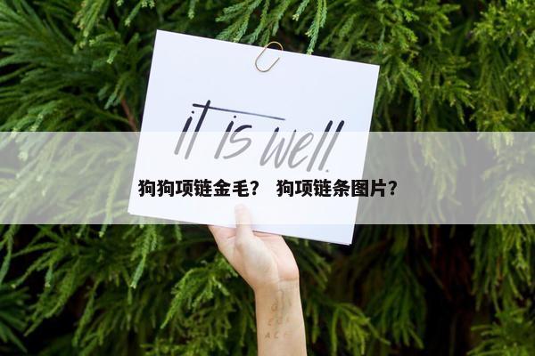 狗狗项链金毛？ 狗项链条图片？