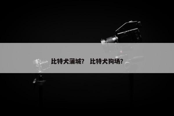 比特犬蒲城？ 比特犬狗场？